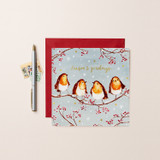 Robins Season’s Greetings XMF37