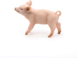 Female Piglet - Papo