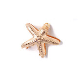 Starfish Shaped Metal Hair Clamp