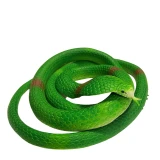 Rubber Cobra
