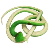 Rubber Cobra