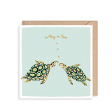 Turtley in Love LMSAF49