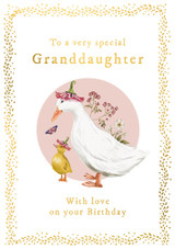 To My Special Granddaughter AFR101