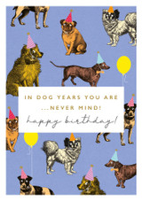 Dog Years Birthday NR35