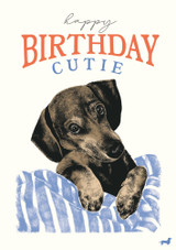Happy Birthday Cutie FK11