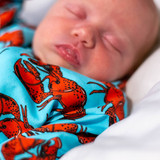 Lobster Unisex Baby Cotton Sleepsuit