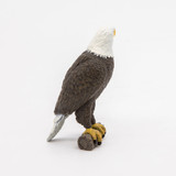 Bald Eagle - Papo