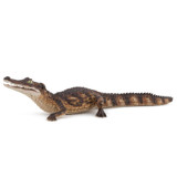 Caiman - Papo