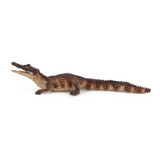 Caiman - Papo