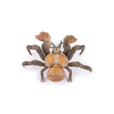 Coconut Crab - Papo