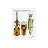 Bass, Bass, Bass