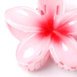 Brightly Coloured Hibiscus Flower Clamp Set