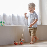 Happy Puppy Wooden Pull Along