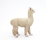 Alpaca - Papo