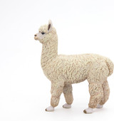 Alpaca - Papo