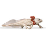 Axolotl - Papo