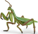 Praying Mantis - Papo