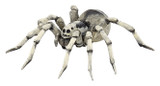 Tarantula Spider - Papo