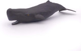Sperm Whale Calf - Papo