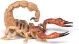 Scorpion - Papo