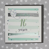 Celebrating 16 Years Male TC17 Celebrating 16 Years Male TC17