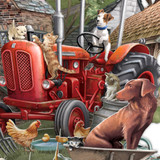 The Farmyard - Top of the World Pop Up Greetings Card TW045