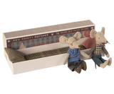 Grandma & Grandpa Mice In Matchbox