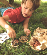 Make a Pizza for the Birds Kit