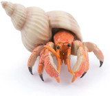 Hermit Crab - Papo