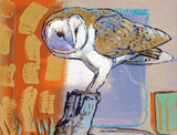 Barn Owl Greetings Card