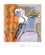 Barn Owl Greetings Card