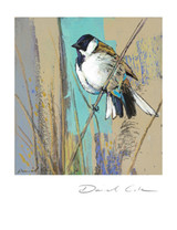 Reed Bunting Greetings Card