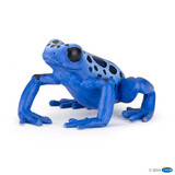 Blue Equatorial Frog