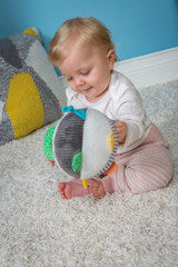 Baby Einstein Zen Chime Ball