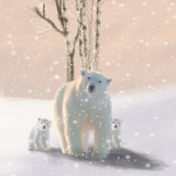 Xmas Card 6 Pack - Polar Bear Family XP392A