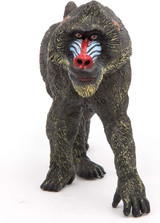 Mandrill - Papo