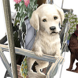 The Goat Cart With Doggies - 3D Pop Up Greetings Card 3D037