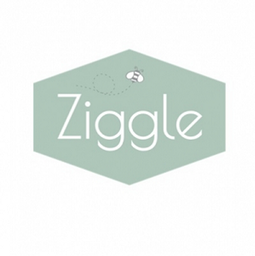 Ziggle Baby