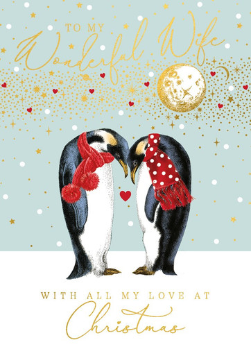 Weihnachtskarte 'Merry Christmas To My Wonderful Wife' Mit Pinguinen – 14,8x14,8 Cm, Inkl. Rotem Umschlag