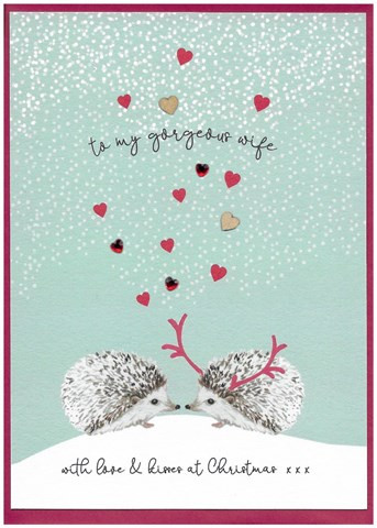 To My Gorgeous Wife, Hedgehogs CSX67
