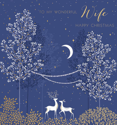 Happy Christmas Wonderful Wife SARX43A