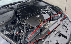 HKS 2023 Nissan Z Dry Carbon Radiator Cover - 70026-AN003 User 1