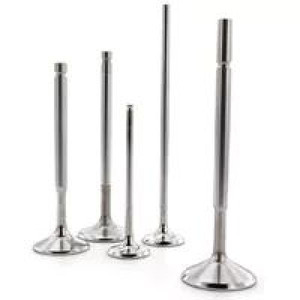 Ferrea 11-12 Polaris RZR XP900 38mm Head 5.48mm Stem Dia Competition Intake Valve - Set of 4 - F0375 User 1