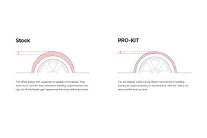 Eibach Pro-Kit EV for 24-25 Tesla Model Y RWD - E10-87-002-02-22 Illustration Guide