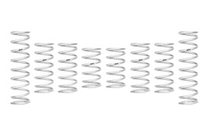 Eibach 22-25 Polaris RZR PRO R Ultimate Stage-4 UTV Spring Kit - E85-209-027-04-22 Photo - Primary