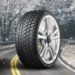 GT Radial WinterPro2 Sport 215/60R17 96H - 100A5154
