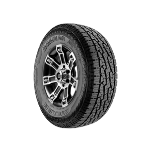 Nexen NEX Roadian A/T Pro RA8 265/70R16
