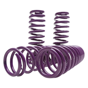 D2 Racing Pro Series Lowering Springs D-SP-KI-08/HY-18 SONATA 2011-14 SONATA / 2011-15 OPTIMA (FR=1.6 & RE=1.5)