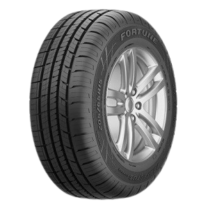 Fortune PERFECTUS FSR602 225/55R17