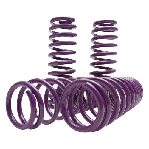 D2 Racing Pro Series Lowering Springs D-SP-AC-11 RSX 02-04 (FR=2.00 & RE=2.00)